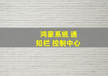 鸿蒙系统 通知栏 控制中心